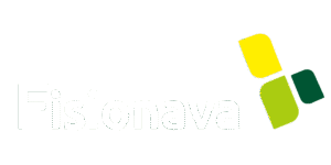 Fisionava